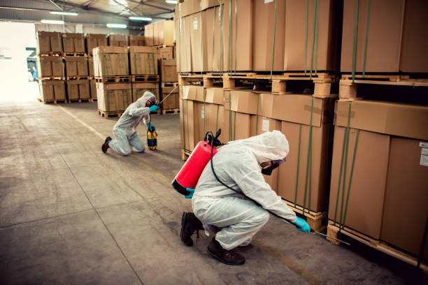 Best Residential Pest Control  in Forreston, IL
