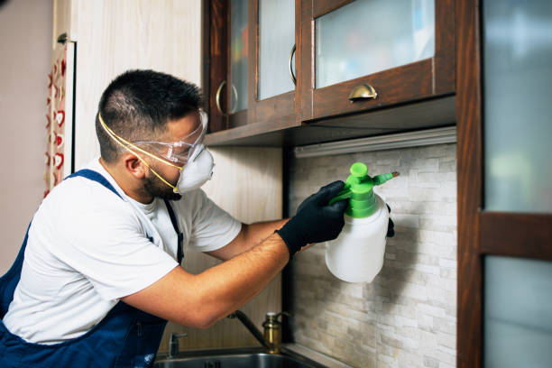 Best Pest Control for Businesses  in Forreston, IL