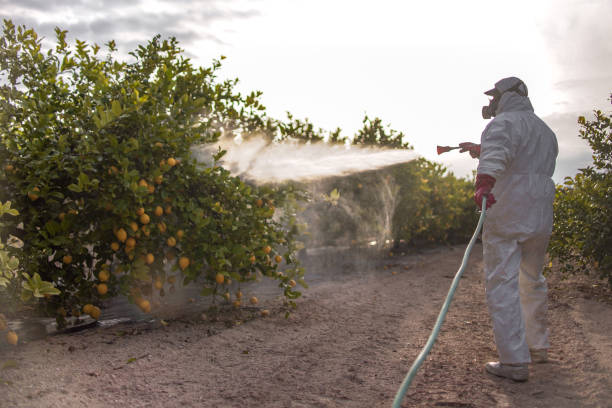 Best Best Pest Control Companies  in Forreston, IL