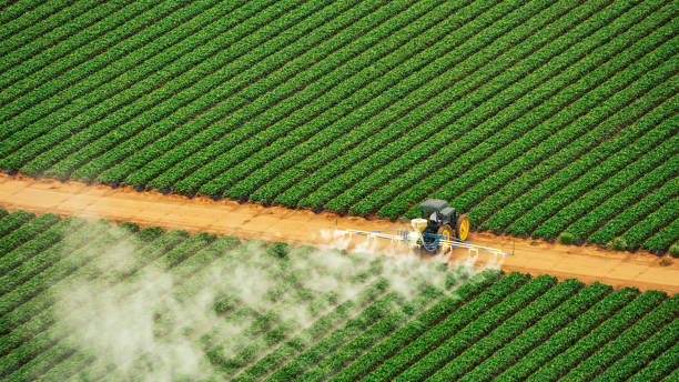 Best Insect Control  in Forreston, IL