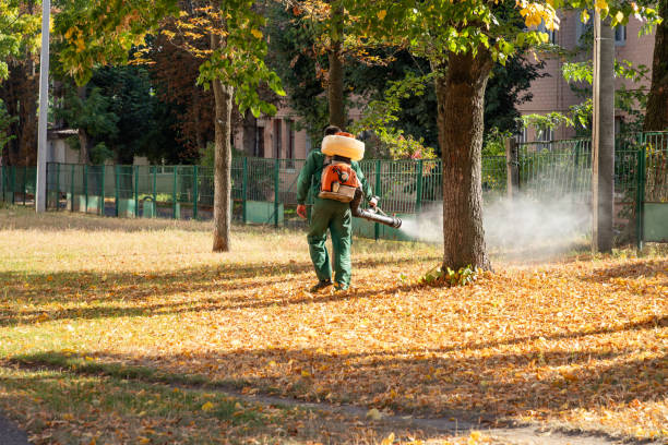 Reliable Forreston, IL Pest Control Solutions