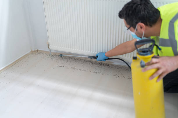 Best Local Pest Control Services  in Forreston, IL